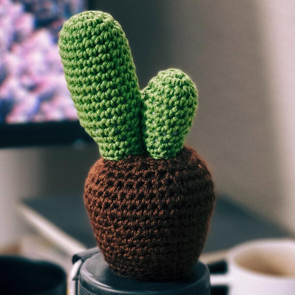 yarn cactus